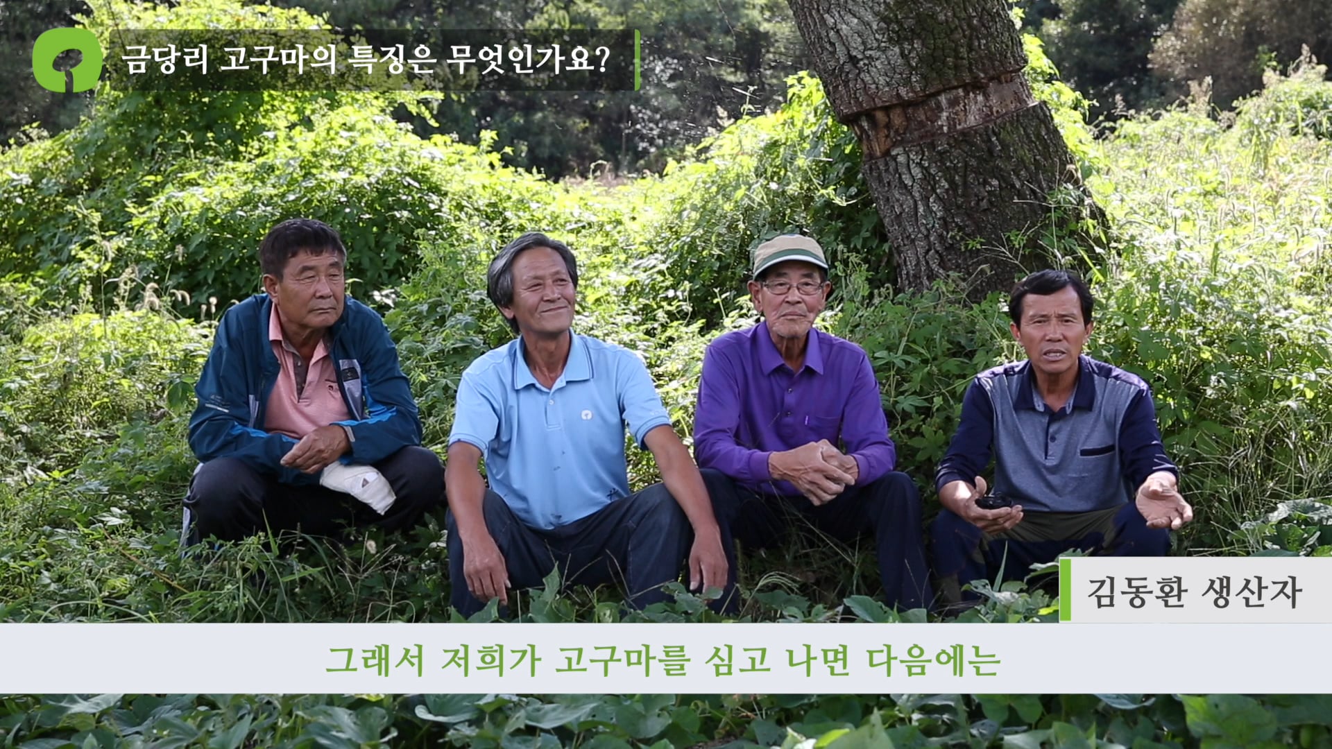 [한살림생산자연협회]여주금당리공동체