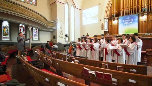 2019.04.14 종려나무