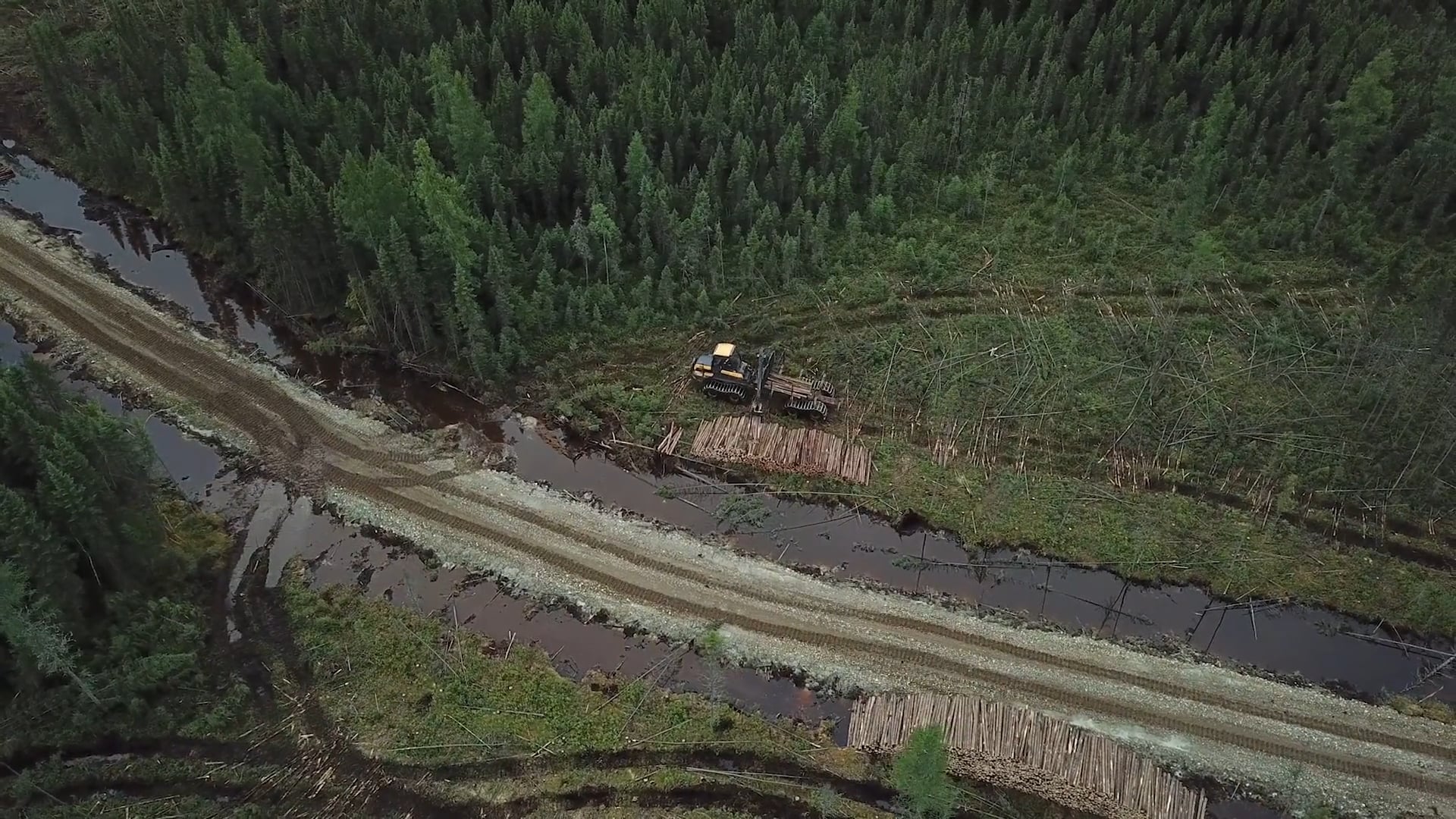 JOSUE_BERTOLINO-DEMO-2018-2019