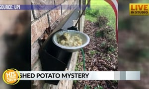 Mashed Mystery: Random Spuds Left On Residents' Porches