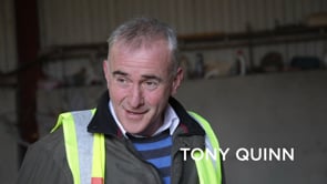 Tony Quinn
