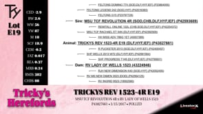 Lot #E19 - TRICKYS REV 1523-4R E19