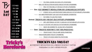 Lot #E47 - TRICKYS X51-105 E47