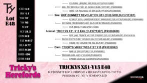 Lot #E48 - TRICKYS X51-Y15 E48