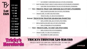 Lot #E69 - TRICKYS TRUSTOR X29-B36 E69