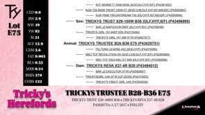 Lot #E75 - TRICKYS TRUSTEE B28-B36 E75
