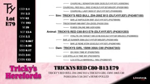 Lot #E79 - TRICKYS RED C80-B13 E79