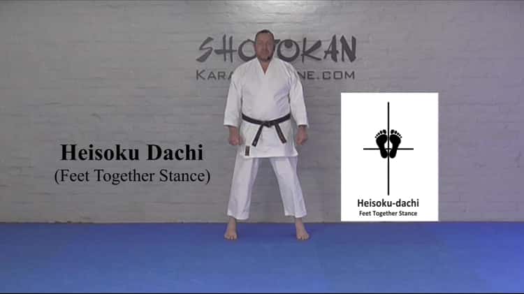 shotokan karate stances
