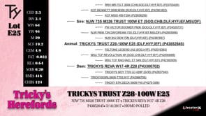 Lot #E25 - TRICKYS TRUST Z28-100W E25