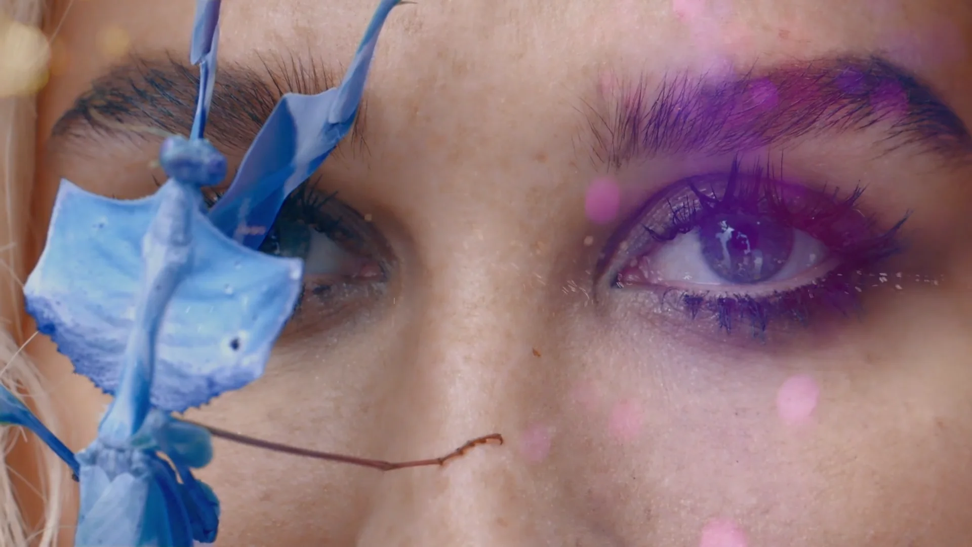Lagan Sebert Reel on Vimeo