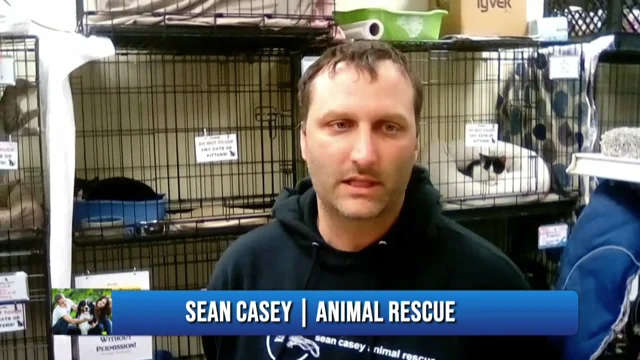 first donation to sean casey Animal rescue!!!!!!!!!!!!