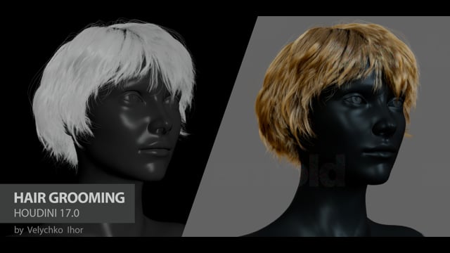 Hair Grooming  Houdini 17.0