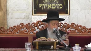 סדר ליל הסדר ניסן תשעט