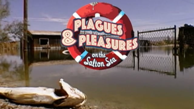 SUNDANCE CHANNEL - "Plagues & Pleasures on the Salton Sea" Trailer