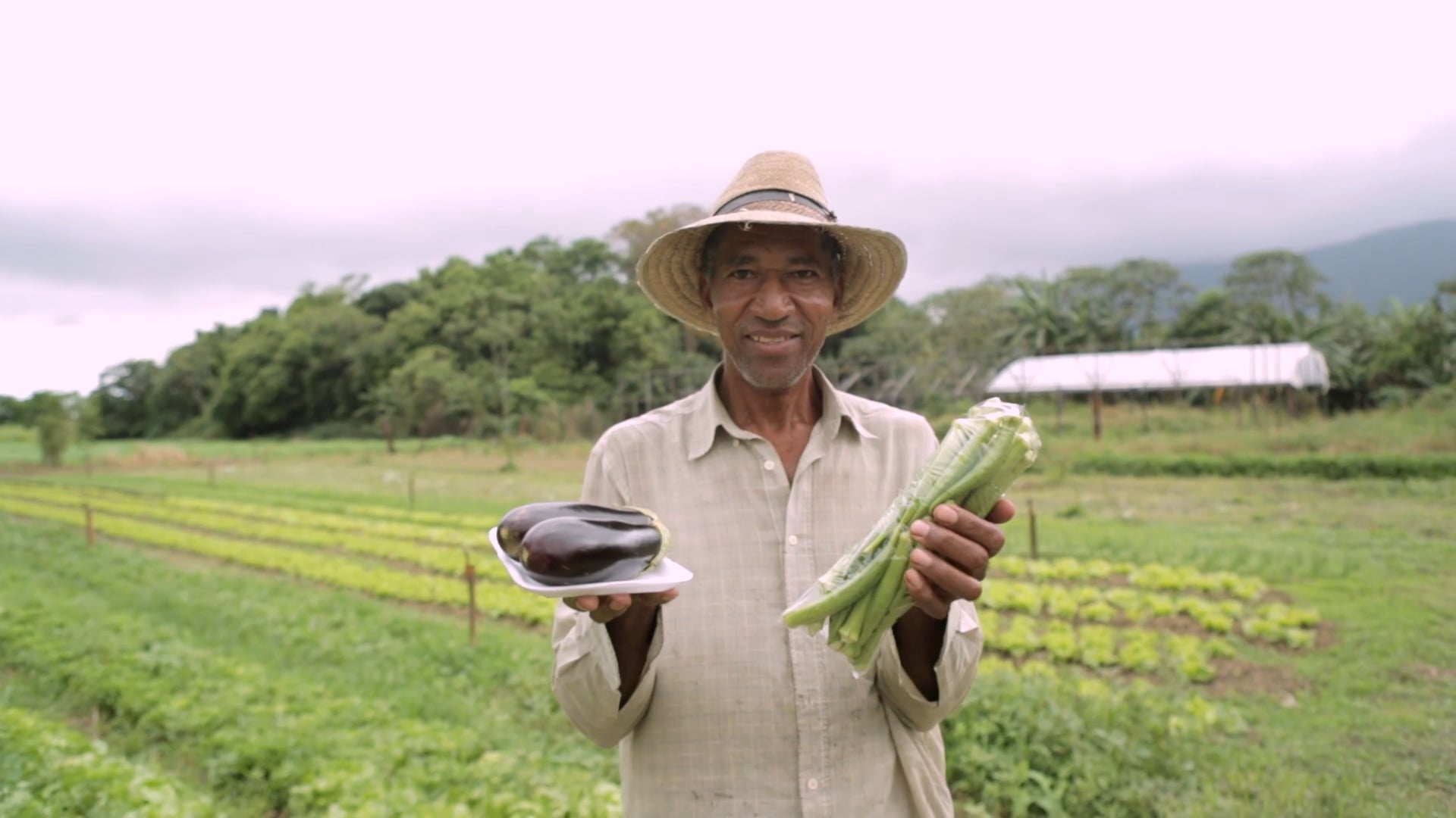 Juntos Somos Mais > Desenvolvimento Rural