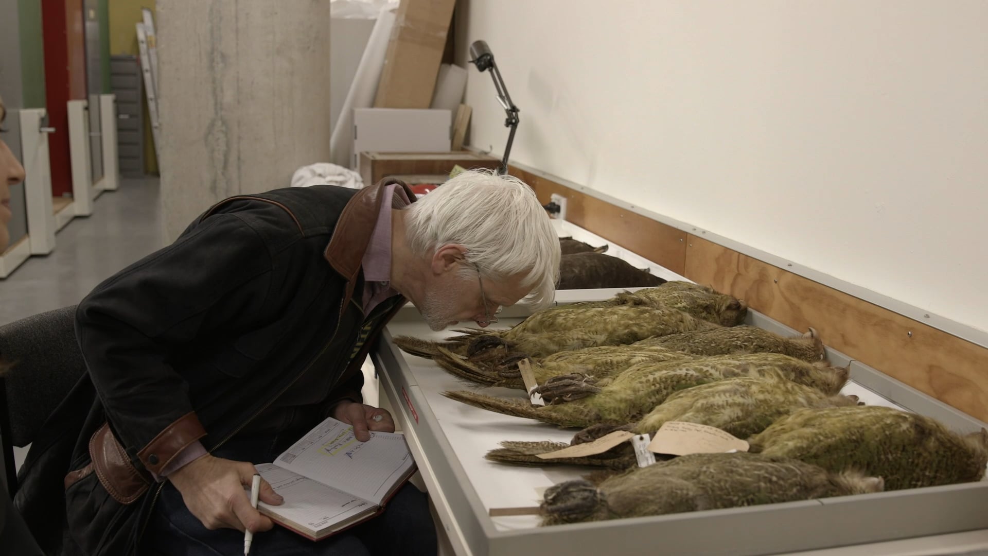 Te Papa Te Taiao Nature - Bird Smells Perfumer