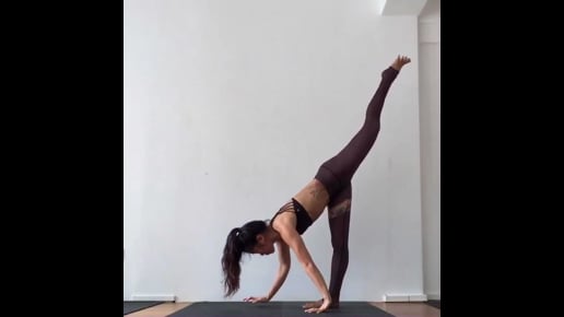 Standing Split Variation Nose To Ankle, Downward Facing Tree Variation