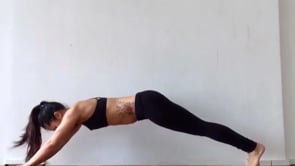 Dolphin Plank Variation