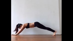 Dolphin Plank Variation