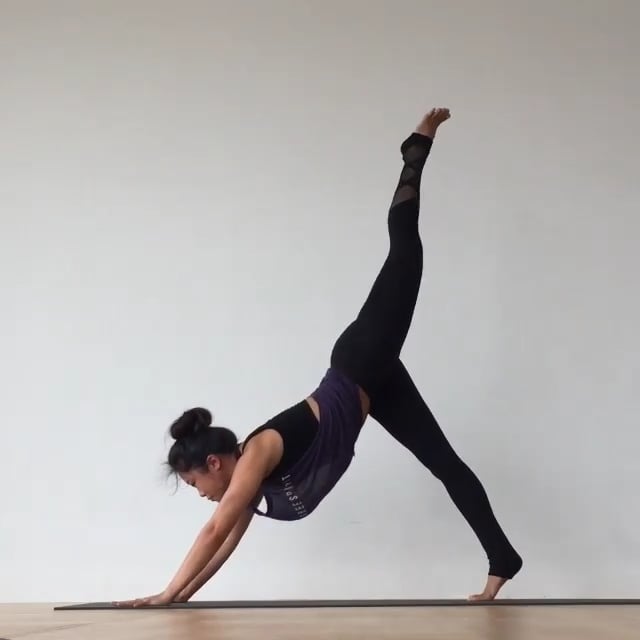 Downward Facing Dog, Three Legged Dog, Wild Thing, Wheel, Upward Facing Dog
