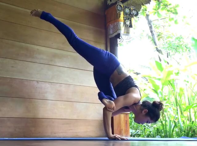Dedicated to the Sage Koundinya II, Downward Facing Tree Variation