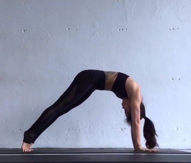 Downward Facing Dog, Plank