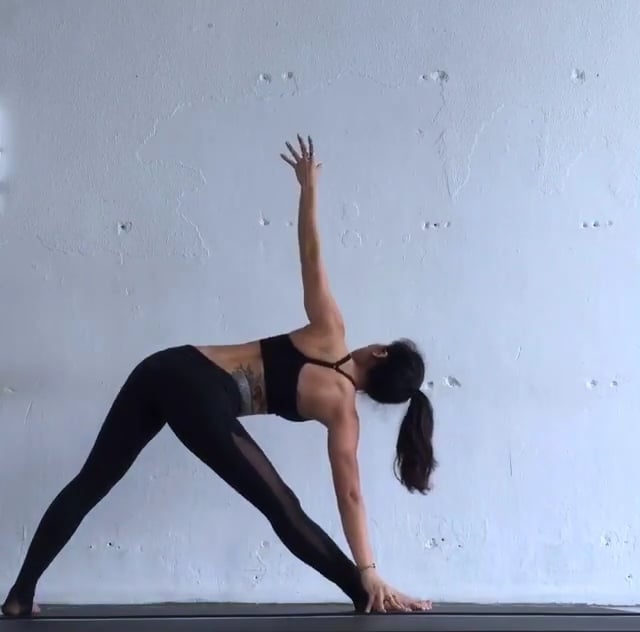 Triangle, Standing Forward Bend, Warrior II, Upward Plank, Revolved Side Angle, Wide Legged Forward Fold, Intense Side Stretch, One-Legged Prayer