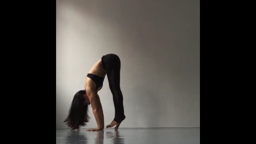 Downward Facing Dog, Press Handstand Variation