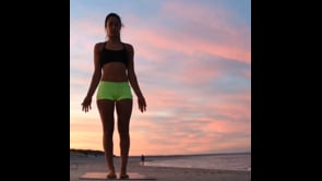 Standing Forward Bend, Revolved Crescent Lunge, Cobra, Downward Facing Dog, Wild Thing, Child