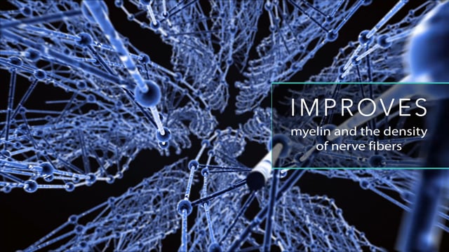 Module 01: The Benefits of Meditation - Video Thumbnail