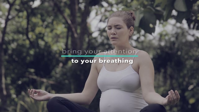 Module 03: Refining Your Meditation Practice - Video Thumbnail
