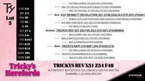 Lot #5 - TRICKYS REV X51 Z54 F48