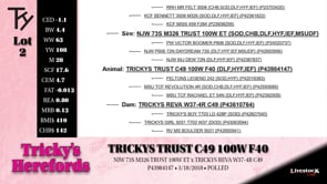 Lot #2 - TRICKYS TRUST C49 100W F40