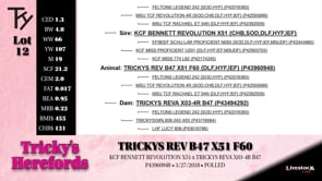 Lot #12 - TRICKYS REV B47 X51 F60