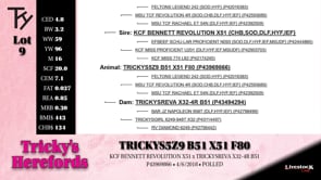 Lot #9 - TRICKYS Z9 B51 X51 F80