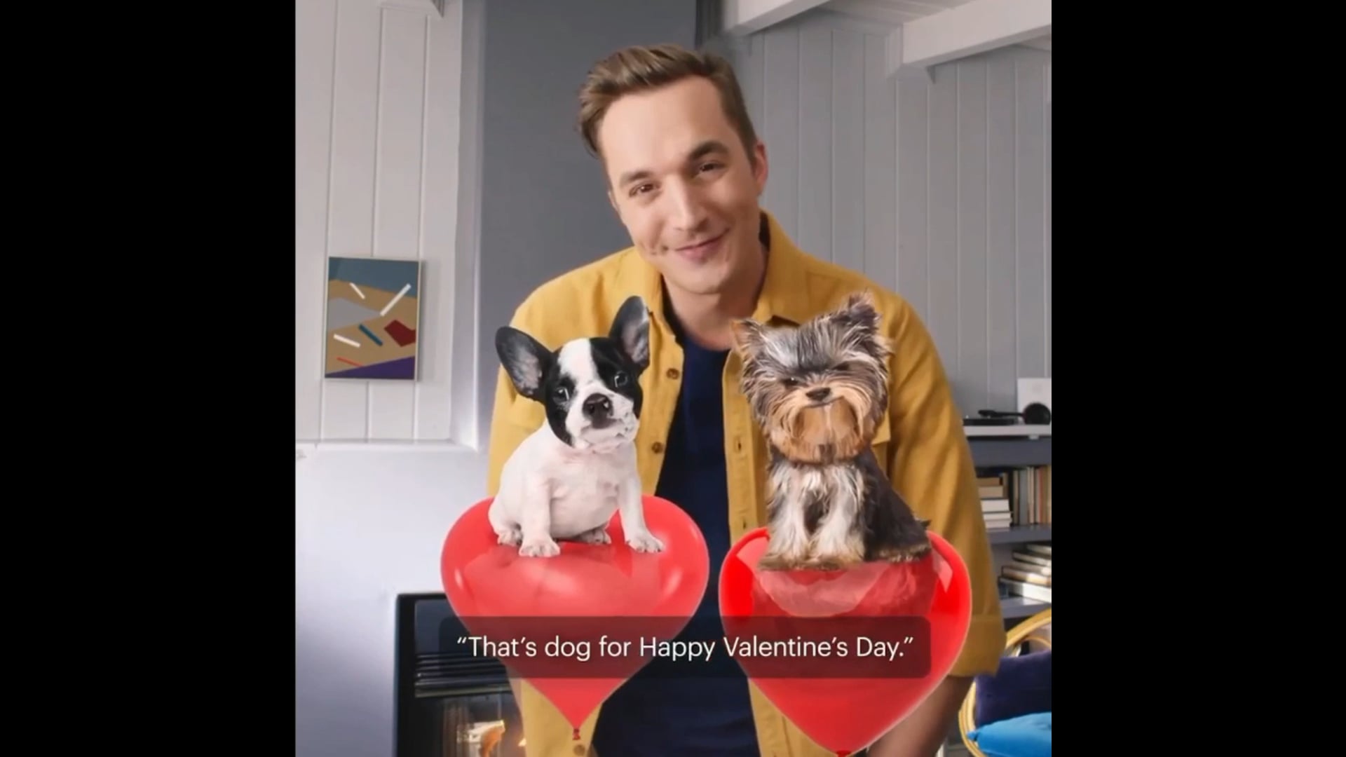 Facebook Portal