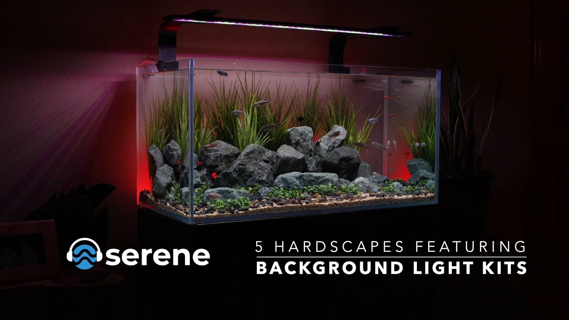 Serene Background LED Light Kits - Aquascapes background lights on Vimeo
