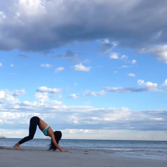 Wild Thing, Three Legged Dog, Downward Facing Dog, Upward Facing Dog, Mountain Namaste