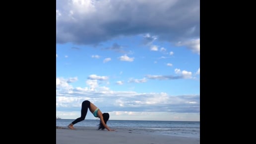 Wild Thing, Three Legged Dog, Downward Facing Dog, Upward Facing Dog, Mountain Namaste