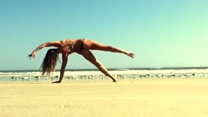 Double Stag Handstand, Warrior I, Three Legged Dog, Lunge Variation, Wild Thing, Cobra