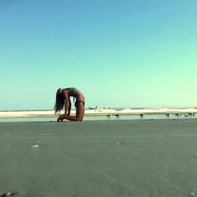 Cat Cow, Camel Variations, Wheel