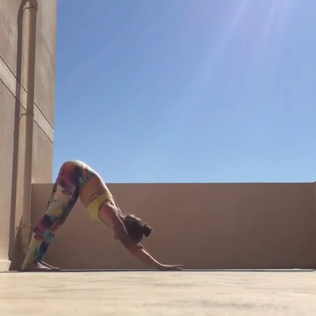 Firefly Variation C, Firefly, Crane, Upward Facing Dog, Downward Facing Dog