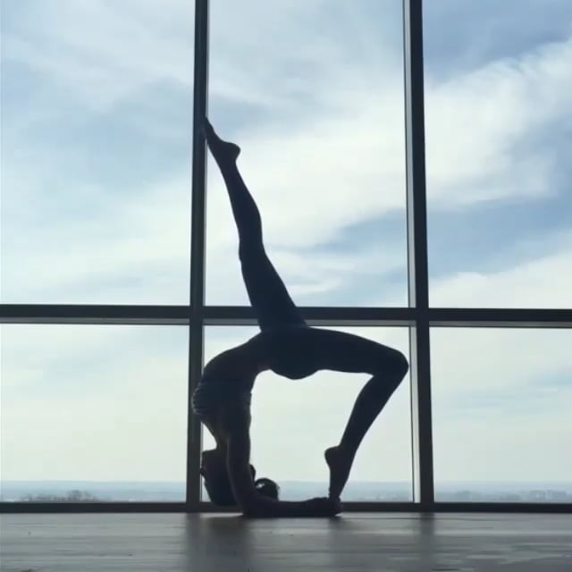 Feathered Peacock Hollow Back, One-Legged Forearm Stand Wheel, Wide Legged Forearm Stand