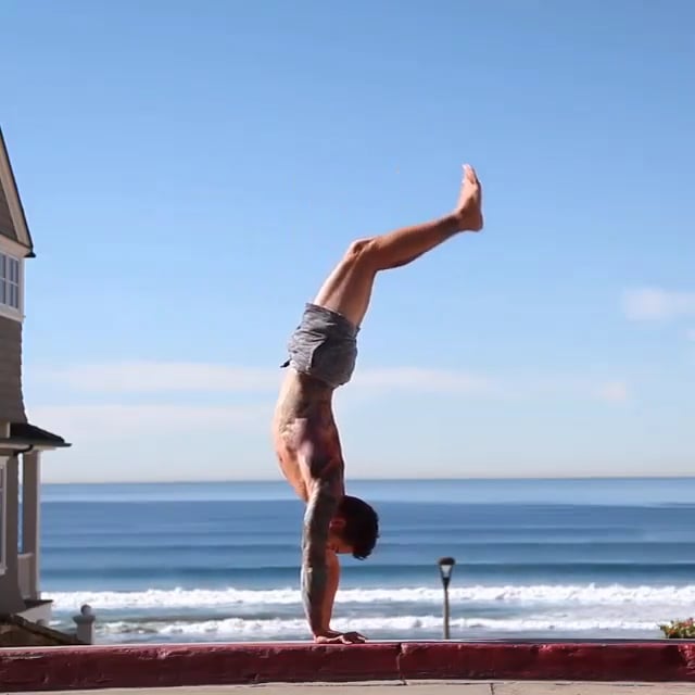 Downward Facing Tree, Scorpion Variation, Low Plank, Upward Facing Dog