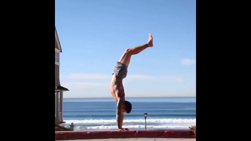 Downward Facing Tree, Scorpion Variation, Low Plank, Upward Facing Dog