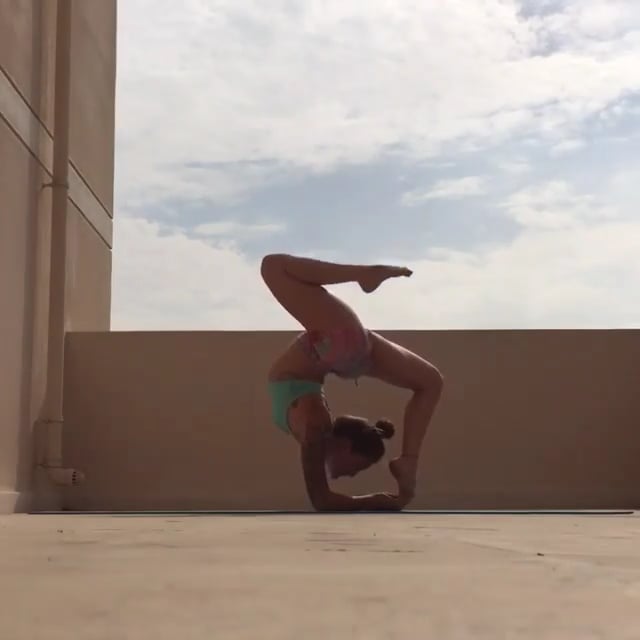 Forearm Stand Double Stag, One Lifted Leg Forearm Wheel, Upward Facing Two-Footed Staff