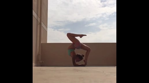 Forearm Stand Double Stag, One Lifted Leg Forearm Wheel, Upward Facing Two-Footed Staff