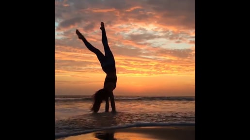 Downward Facing Tree, One-Legged Wheel, Three Legged Dog, Upward Facing Dog