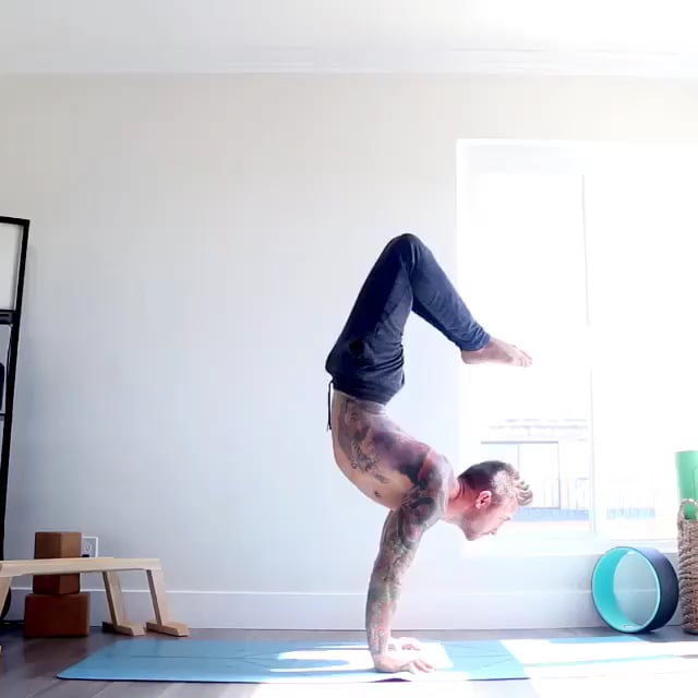 Scorpion, Cobra