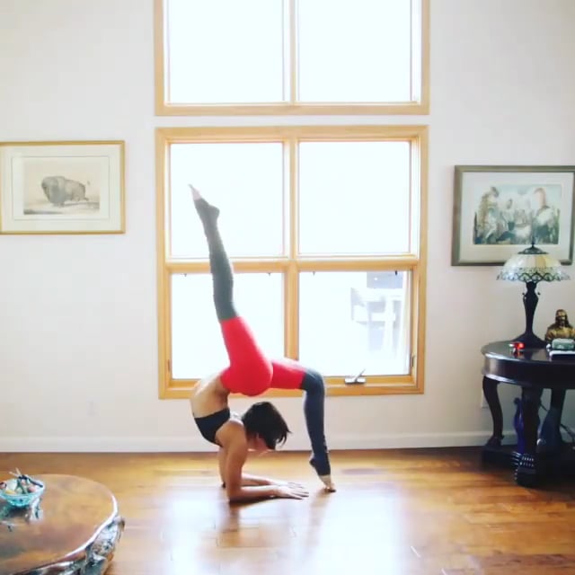 Standing Hand To Big Toe In Front, Wheel, One-Legged Wheel, Full Wheel, Forearm Stand Double Stag